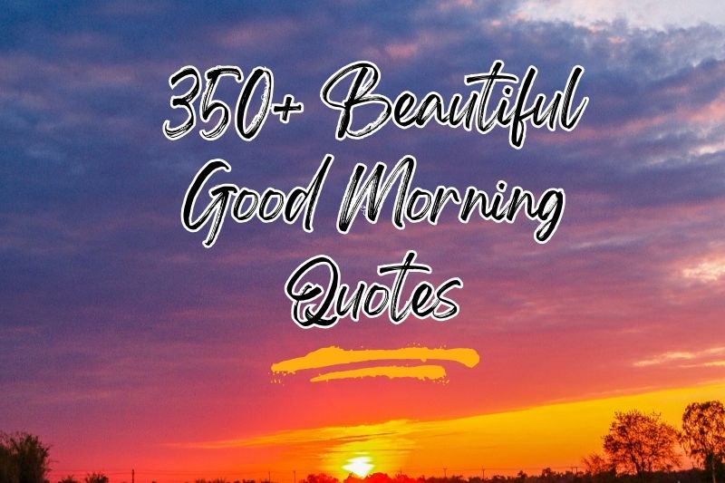 350+ Beautiful Good Morning Quotes to Make Every Day Special