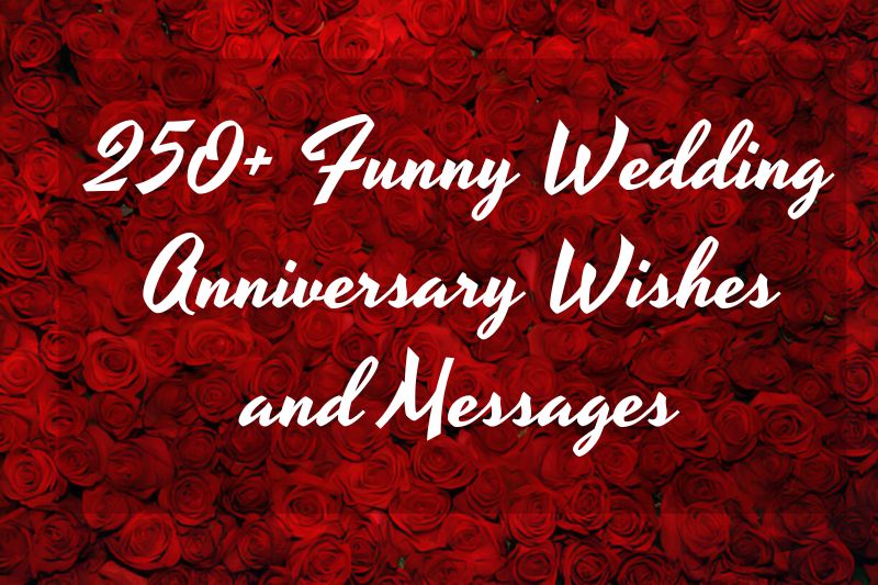 250+ Funny Wedding Anniversary Wishes and  Messages
