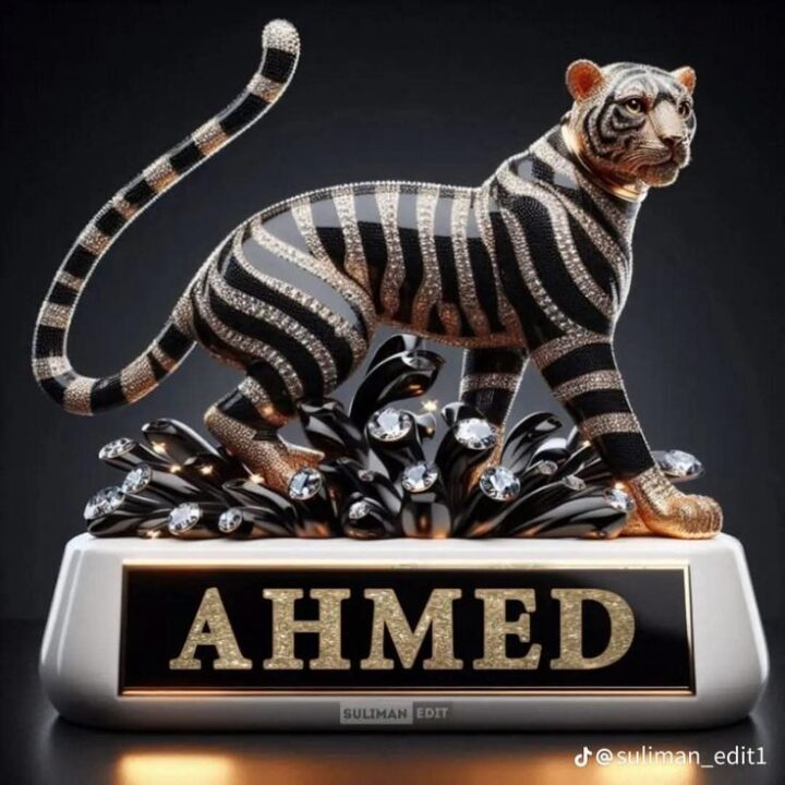Ahmed Name DP for Instagram