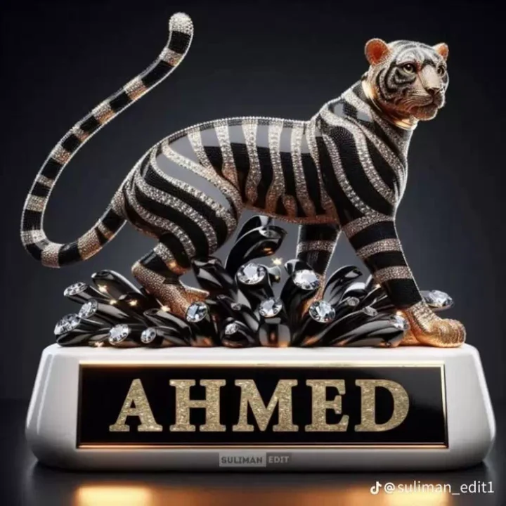 Latest Ahmed Name DP Images for Whatsapp
