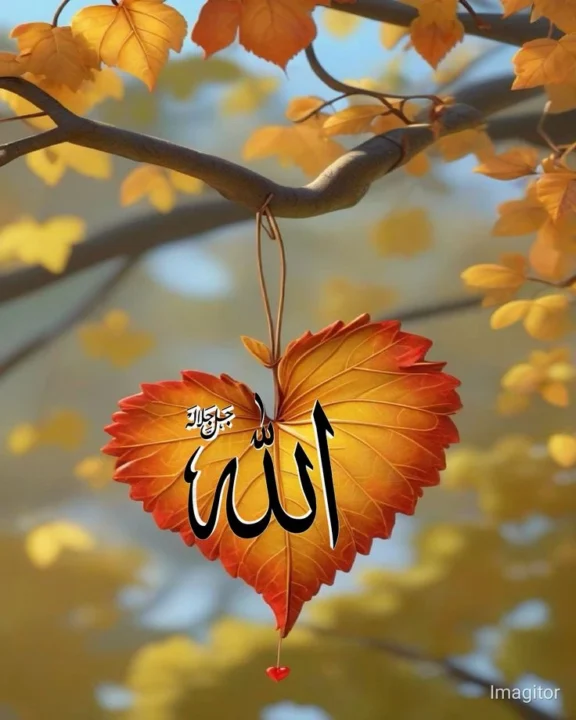 Islamic Allah DP images for profile picture