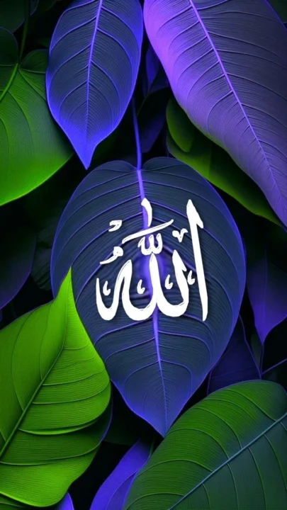 beautiful Allah name DP images for WhatsApp