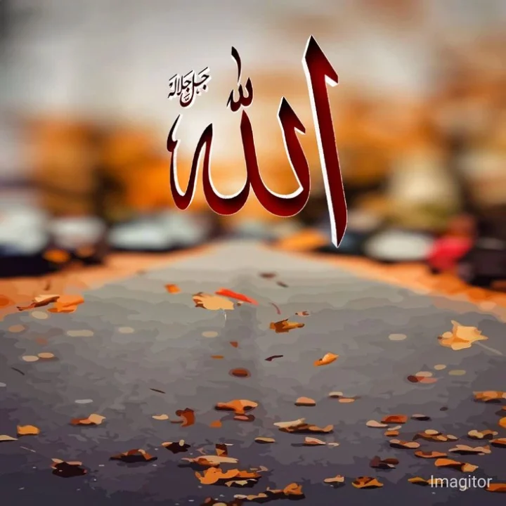 Allah Name DP Images for WhatsApp 