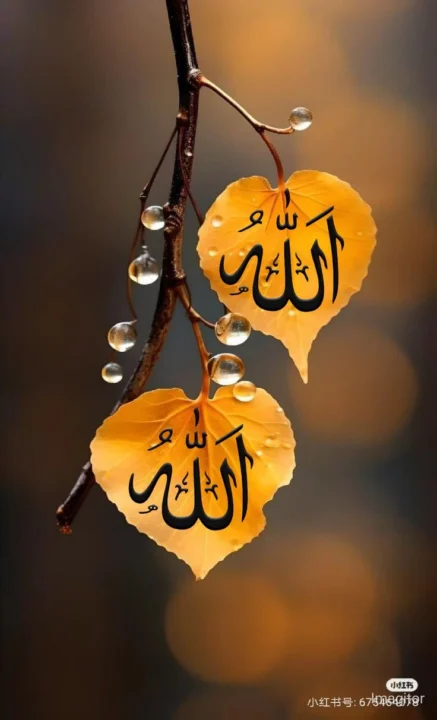 high quality Allah DP images download