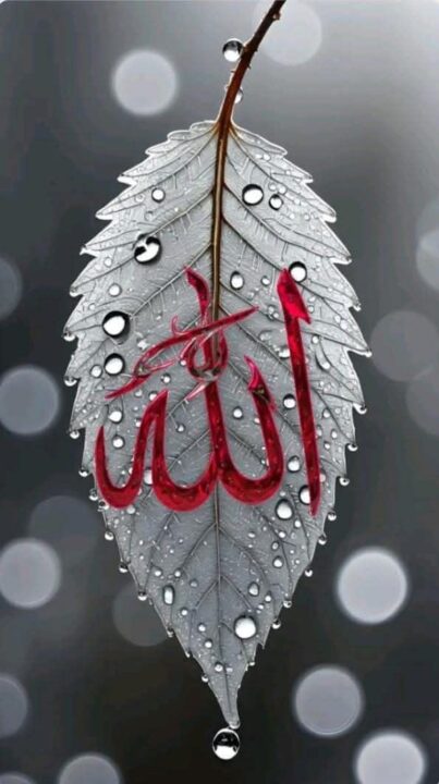 Allah Name WhatsApp Dp images