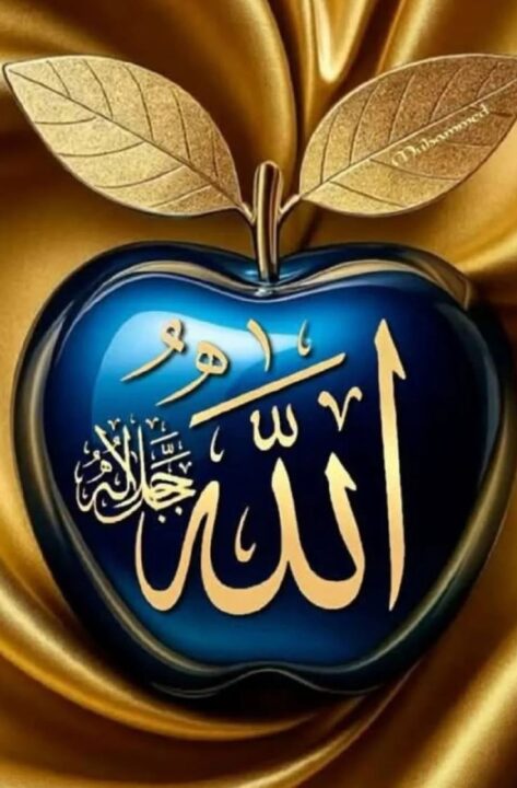 Beautiful Allah Name DP for WhatsApp