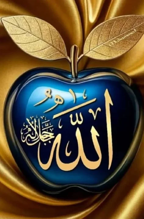 Beautiful Allah Name DP for WhatsApp