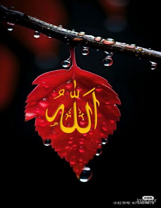 Beautiful Allah Name DP for WhatsApp