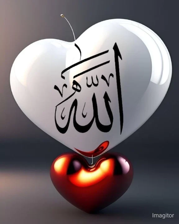 Beautiful Allah Name DP for WhatsApp