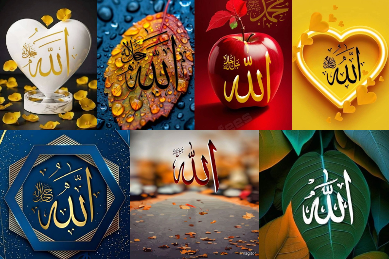 100+ Beautiful Allah Name DP Images for WhatsApp & Insta