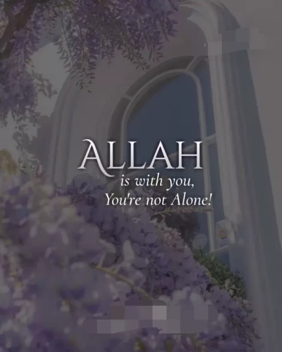 islamic quotes profile pictures