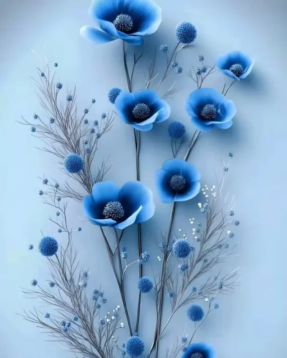 Blue Colour DP Images for Facebook Profile