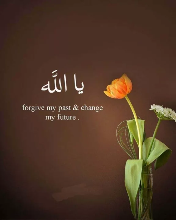 Beautiful Allah Quotes DP Image HD