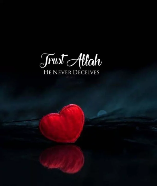 beautiful islamic quotes dp images