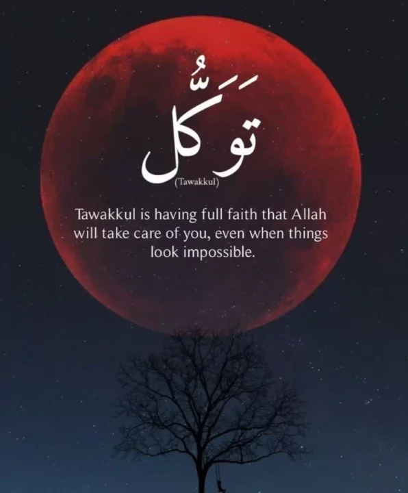 beautiful islamic quotes dp images
