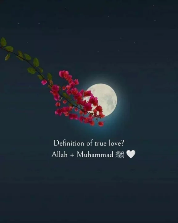 beautiful islamic quotes dp images