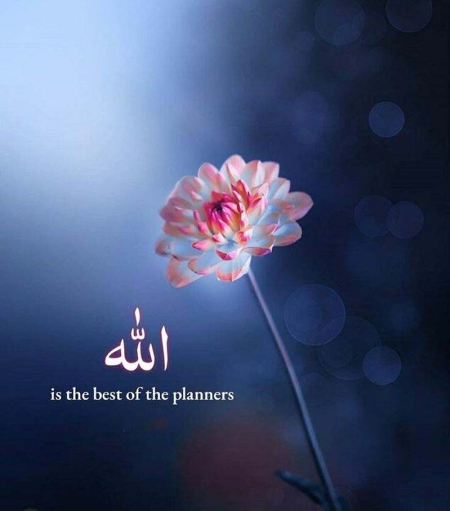 Beautiful Islamic Quotes DP Images