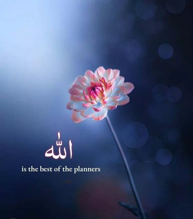 Beautiful Allah Quotes DP Image HD