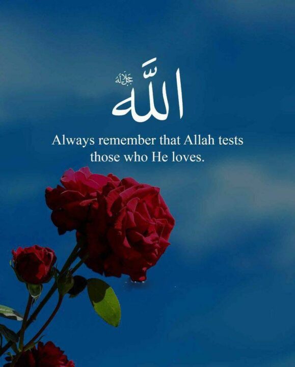 Best Islamic Quotes DP for WhatsApp 