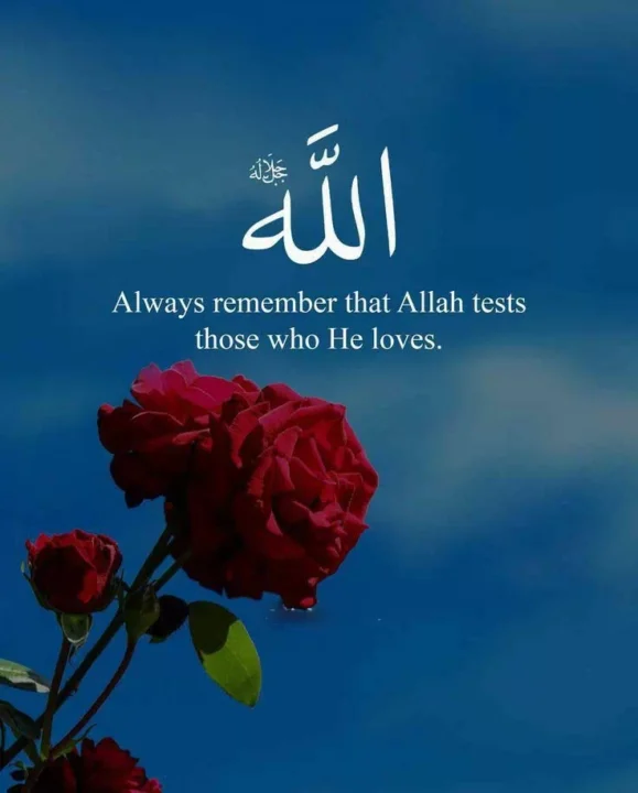 Muslim Couple Islamic DP Image