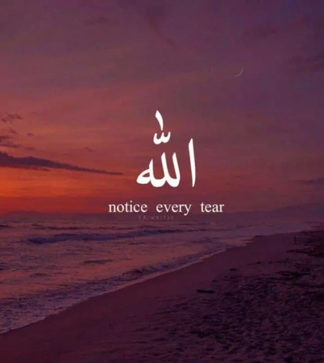 Stylish Islamic Profile Picture HD