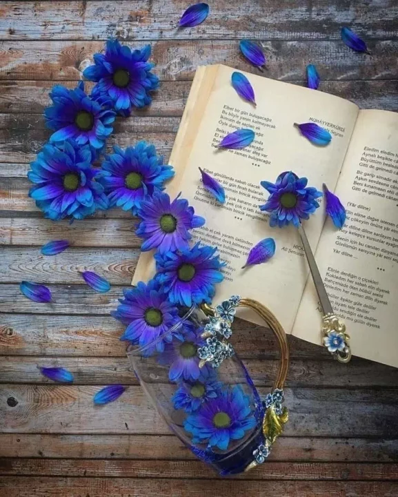 Attitude Blue DP Images for Girls