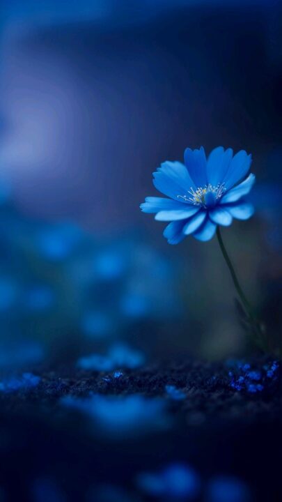 Blue DP images for WhatsApp
