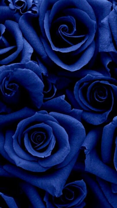 Stylish Blue DP for WhatsApp