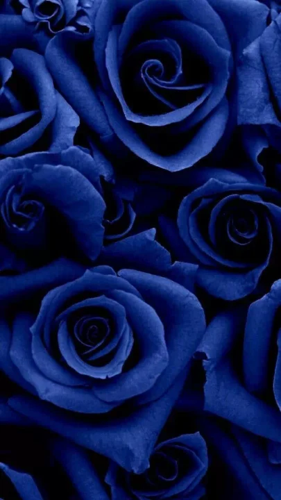 cute blue dp images for whatsapp hd download