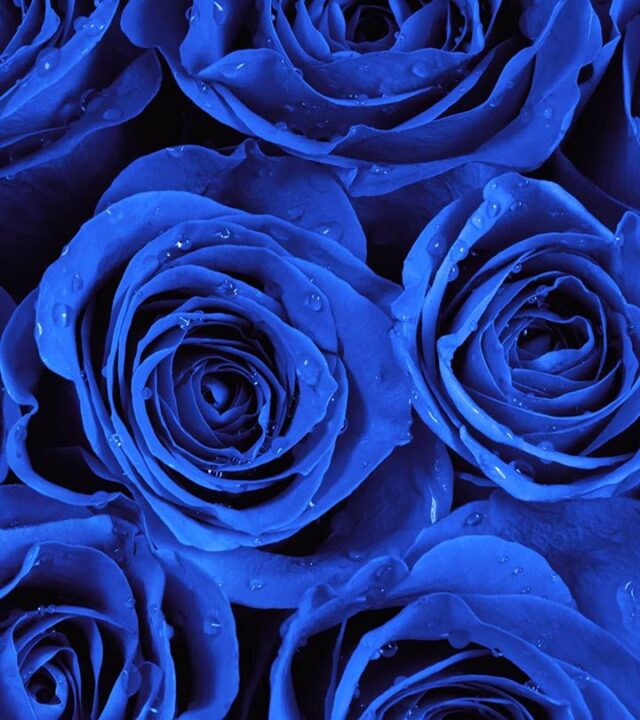 Stylish Blue DP for WhatsApp
