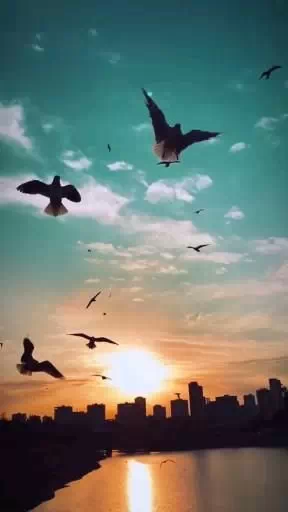 cute blue dp images for whatsapp hd download