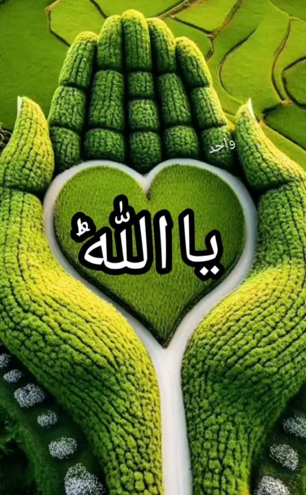 best Allah DP images for WhatsApp profile