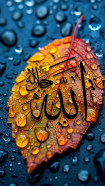 Islamic Profile Pictures for WhatsApp