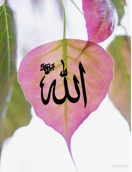 Islamic Profile Pictures for WhatsApp