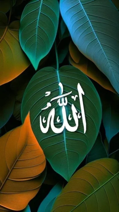 Allah name DP images for Facebook profile