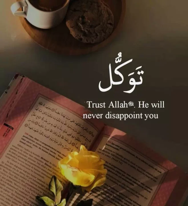 Muslim Girl Islamic DP with Hijab Quote