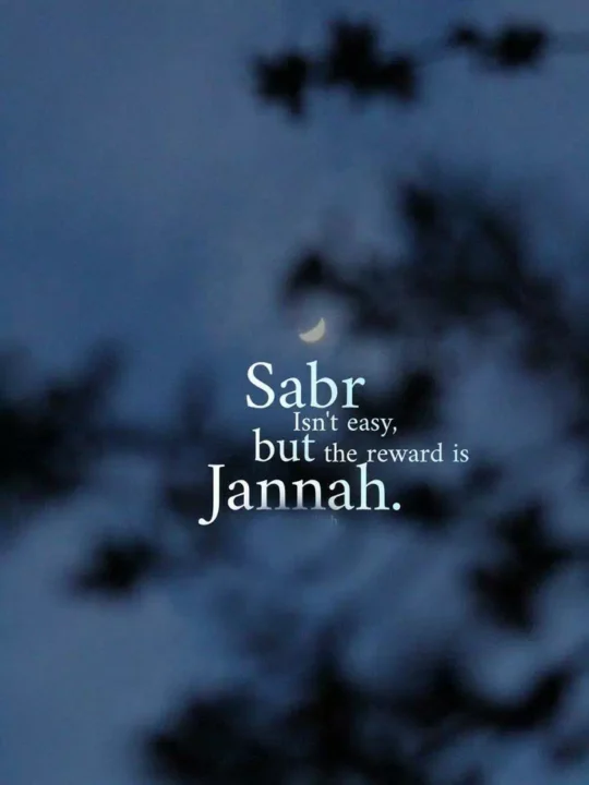 beautiful islamic quotes dp images
