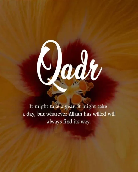 Beautiful Allah Quotes DP Image HD