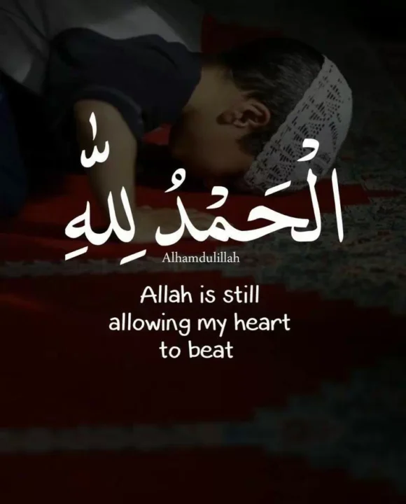 Beautiful Allah Quotes DP Image HD