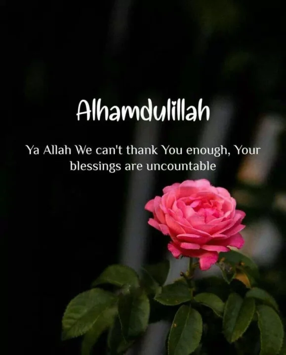 islamic quotes profile pictures