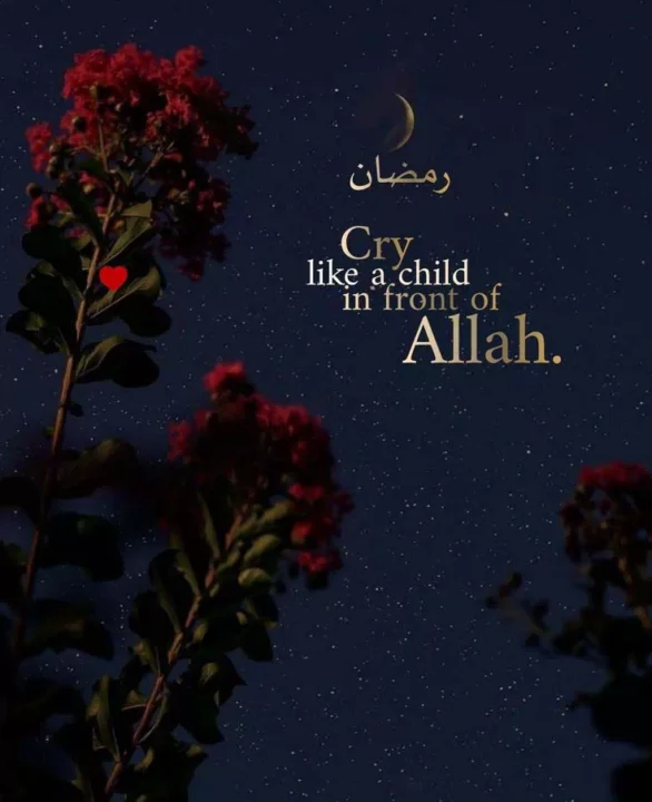 Beautiful Allah Quotes DP Image HD
