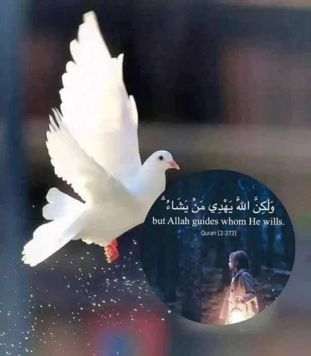 Beautiful Allah Quotes DP Image HD