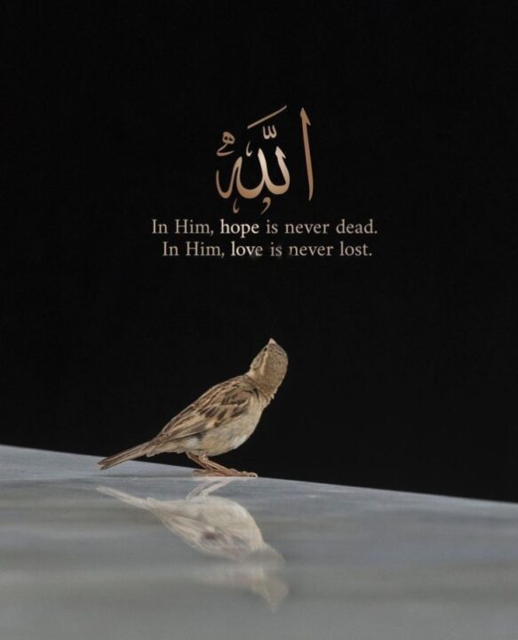 Islamic Quotes in Urdu DP Images