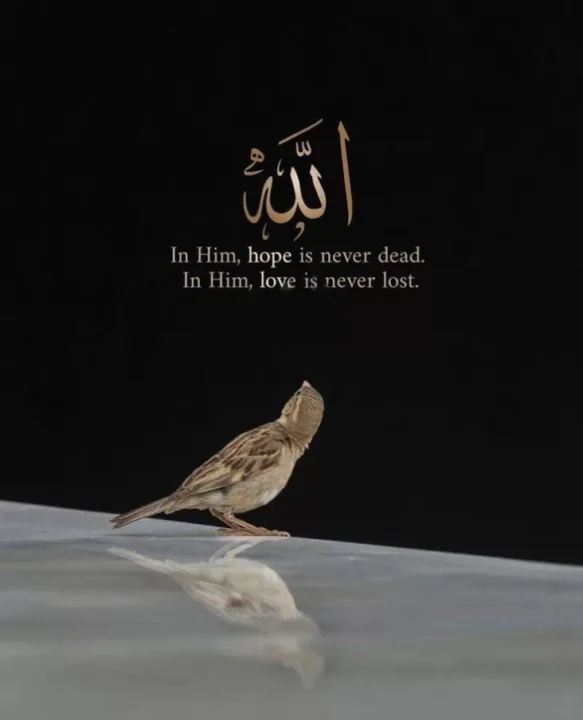 islamic quotes profile pictures