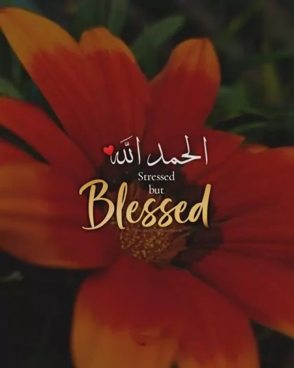 islamic quotes profile pictures