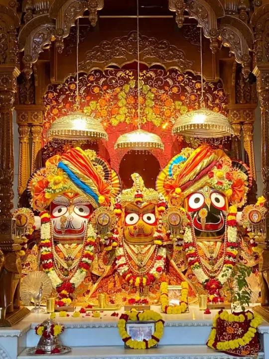 Beautiful Lord Jagannath DP Image