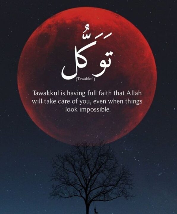 Peaceful Quran Quotes DP