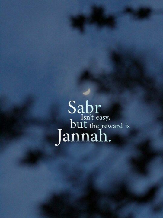 Peaceful Quran Quotes DP