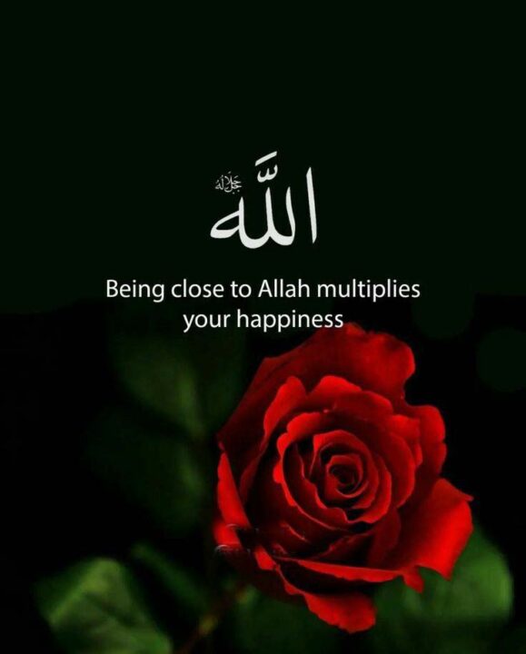 Peaceful Quran Quotes DP
