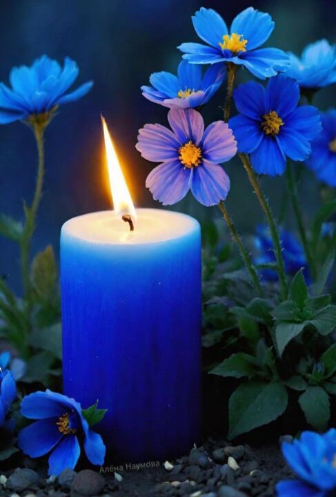 Royal Blue DP Images